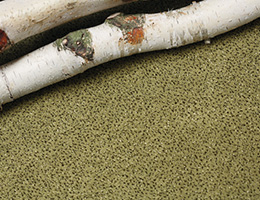 Balsan Equinoxe