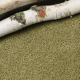 Balsan equinoxe