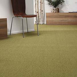 Balsan equinoxe
