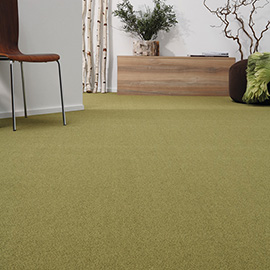 Balsan equinoxe