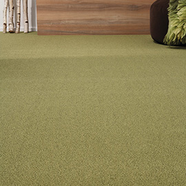 Balsan equinoxe