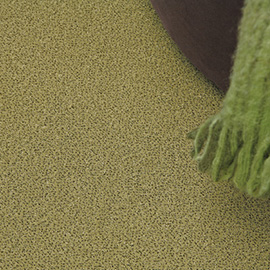 Balsan equinoxe