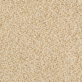 Balsan Equinoxe 610 Coquille