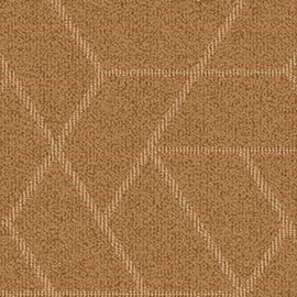 BIG/Carus Impressions Origami 010