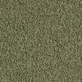 Balsan Les First 255 Eucalyptus