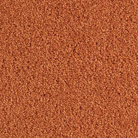 Balsan Les First 450 Abricot