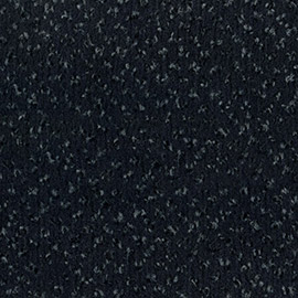 Betap Pluto 461