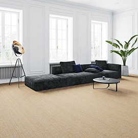 BIG/Carus rockefeller