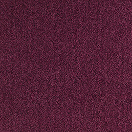 Balsan Scenario 890 Violine