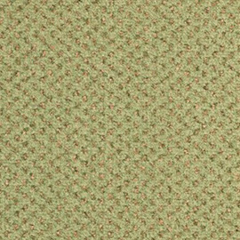 Balsan Signature 230 Anis