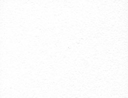 Armstrong Bioguard Plain