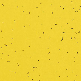 Forbo Sphera Energetic 50201 Yellow