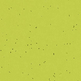 Forbo Sphera Energetic 50214 Lime