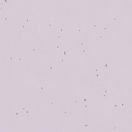Forbo Sphera Energetic 50234 Lilac