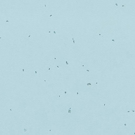 Forbo Sphera Energetic 50239 Ice
