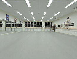Apoluza Sportfloor Dance 2,0